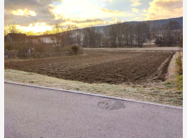 loader_gif