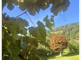 Premium Property Image