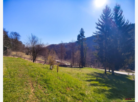 Premium Property Image