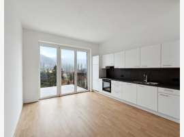 Premium Property Image