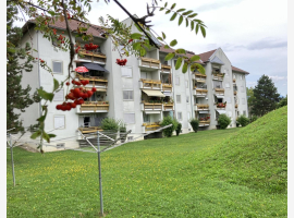 Premium Property Image