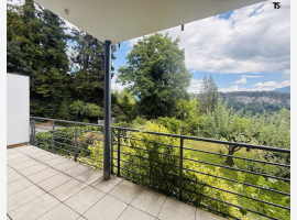 Premium Property Image