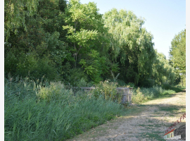 loader_gif