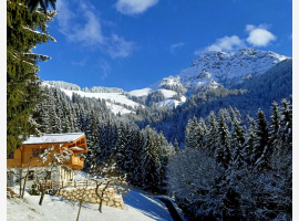 Premium Property Image