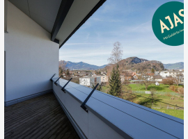 Premium Property Image