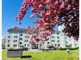 Premium Property Image