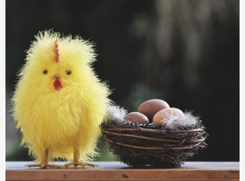 Premium Property Image