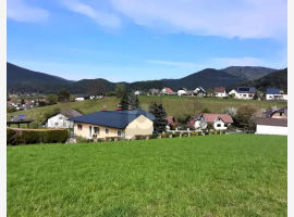 loader_gif