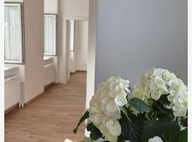 Premium Property Image