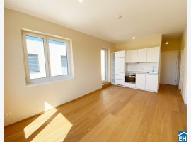 Premium Property Image