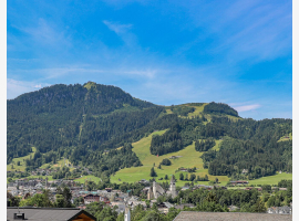 Premium Property Image