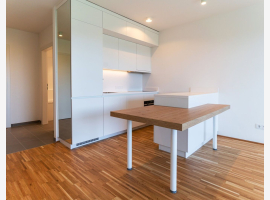 Premium Property Image