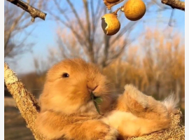 Premium Property Image