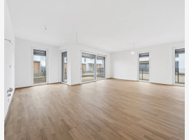 Premium Property Image