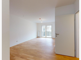 loader_gif