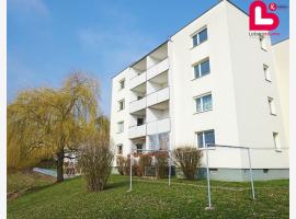 Premium Property Image