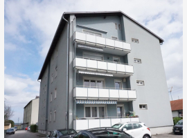 loader_gif