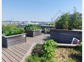 Premium Property Image