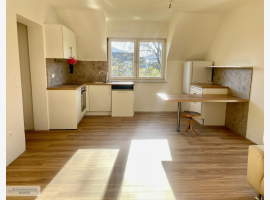 Premium Property Image