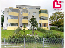 Premium Property Image