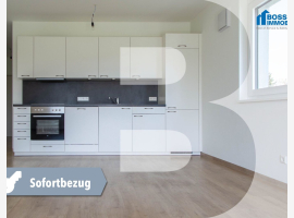 Premium Property Image