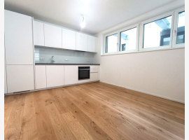 Premium Property Image
