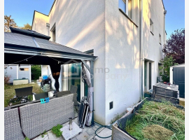 loader_gif