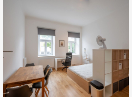 loader_gif