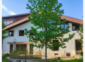 loader_gif