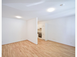 Premium Property Image