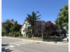 loader_gif