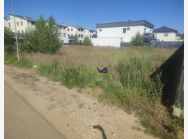 loader_gif