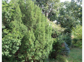 Premium Property Image