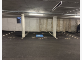 loader_gif