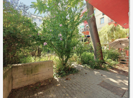 loader_gif