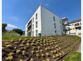 Premium Property Image