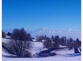 Premium Property Image