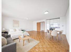 Premium Property Image