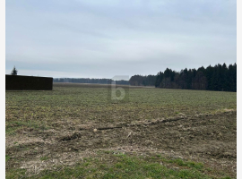 loader_gif