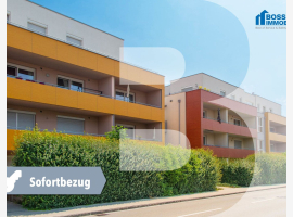 Premium Property Image