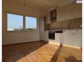 Premium Property Image