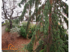 Premium Property Image